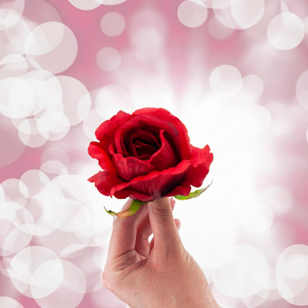CV31206-22 ROSE PRODUKT ROSEN BLUME KOPF KÜNSTLICHE BLUMEN WIE LIVE-ROT