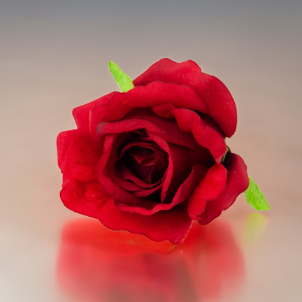 CV31206-22 ROSE PRODUKT ROSEN BLUME KOPF KÜNSTLICHE BLUMEN WIE LIVE-ROT