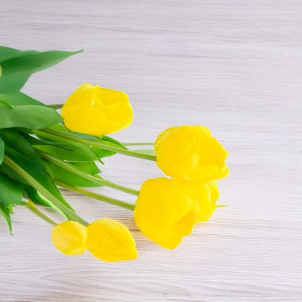 CV31218-4 BUUKET VON TULPEN GUMA PIANO x 5 Stück GELB PERFORIERT REALISTISCH