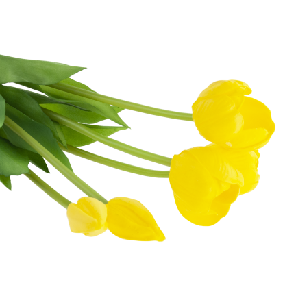 CV31218-4 BUUKET VON TULPEN GUMA PIANO x 5 Stück GELB PERFORIERT REALISTISCH