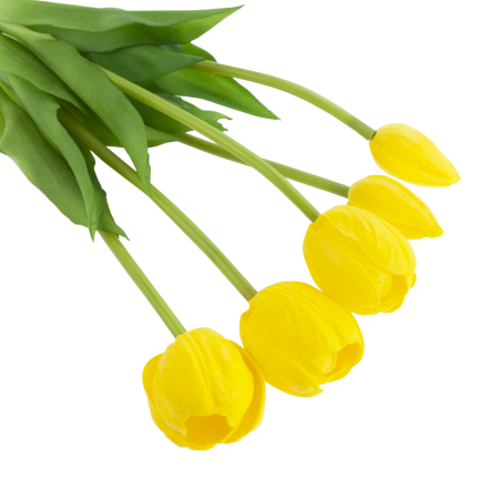 CV31218-4 BUUKET VON TULPEN GUMA PIANO x 5 Stück GELB PERFORIERT REALISTISCH