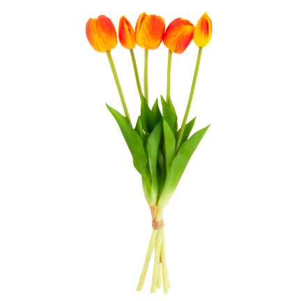 CV31218-5 BUCHASE VON TULIPS PUSH PUMA x 5 REALISTIC PERFORATED orange