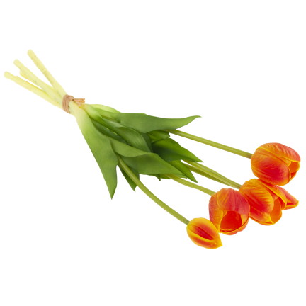 CV31218-5 BUCHASE VON TULIPS PUSH PUMA x 5 REALISTIC PERFORATED orange