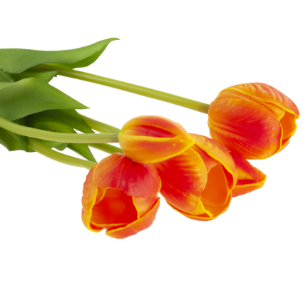 CV31218-5 BUCHASE VON TULIPS PUSH PUMA x 5 REALISTIC PERFORATED orange