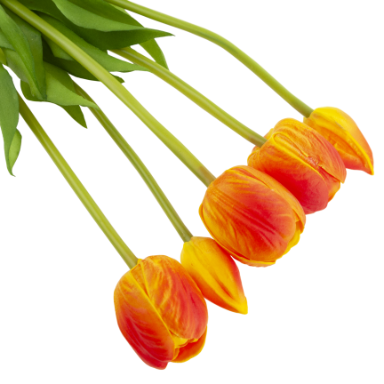 CV31218-5 BUCHASE VON TULIPS PUSH PUMA x 5 REALISTIC PERFORATED orange