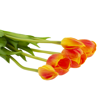CV31218-5 BUCHASE VON TULIPS PUSH PUMA x 5 REALISTIC PERFORATED orange