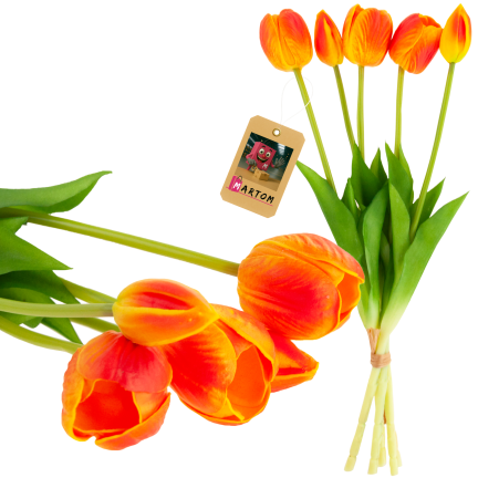 CV31218-5 BUCHASE VON TULIPS PUSH PUMA x 5 REALISTIC PERFORATED orange