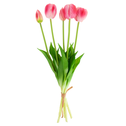 CV31218-7 BUCHASE VON TULIPS GUMA PUSH x 5 REALISTISCH PERFORIERT rosa