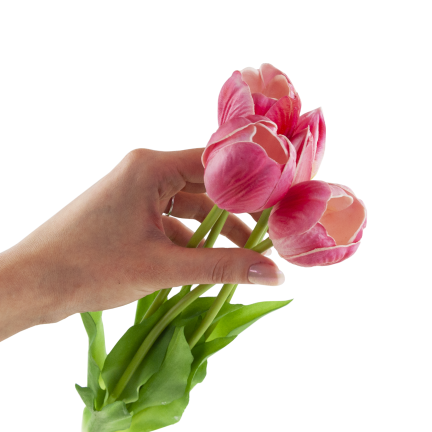 CV31218-7 BUCHASE VON TULIPS GUMA PUSH x 5 REALISTISCH PERFORIERT rosa