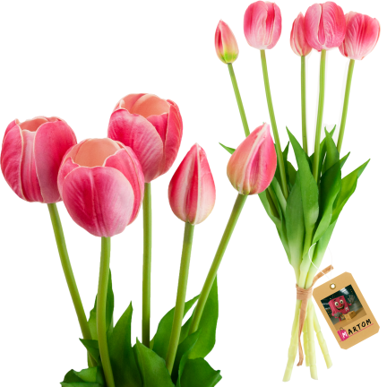 CV31218-7 BUCHASE VON TULIPS GUMA PUSH x 5 REALISTISCH PERFORIERT rosa
