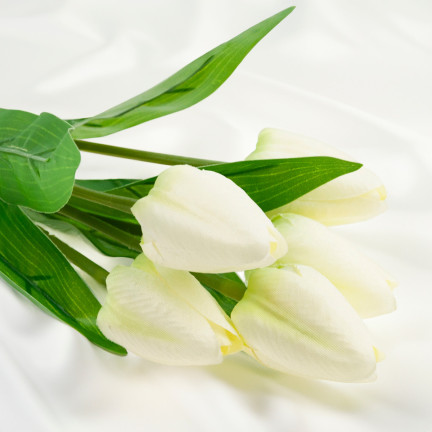 CV31225-1 TULPENSTRAUSS SCHÖN WIE LEBEN TULPEN WEISSE BLUMEN ECRU X5