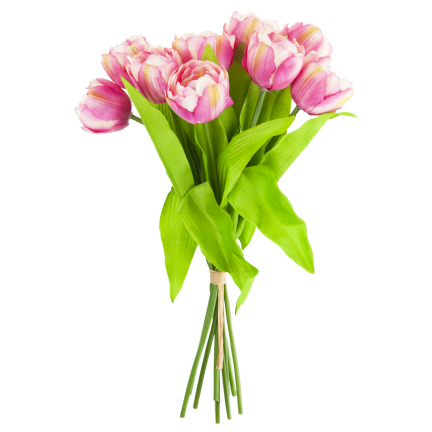 CV31227-4 TULIPAN BUNCH x7 DARK PREMIERE GUMMERED VASON TUBES