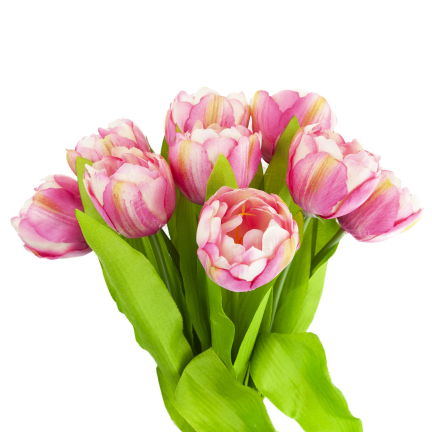 CV31227-4 TULIPAN BUNCH x7 DARK PREMIERE GUMMERED VASON TUBES