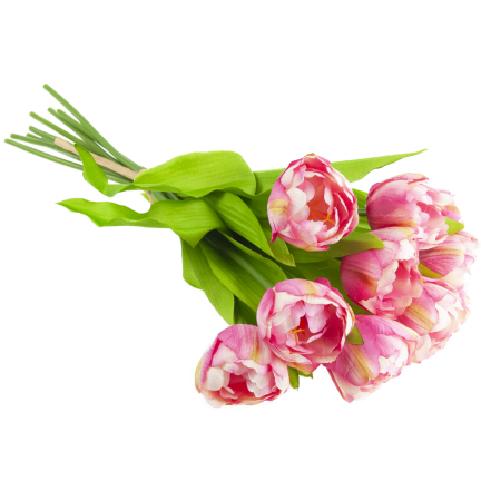 CV31227-4 TULIPAN BUNCH x7 DARK PREMIERE GUMMERED VASON TUBES