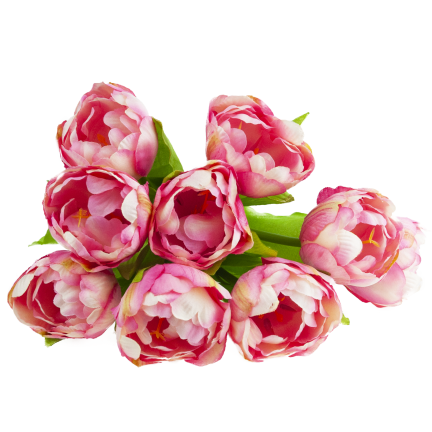 CV31227-4 TULIPAN BUNCH x7 DARK PREMIERE GUMMERED VASON TUBES