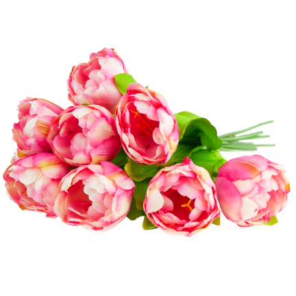 CV31227-4 TULIPAN BUNCH x7 DARK PREMIERE GUMMERED VASON TUBES