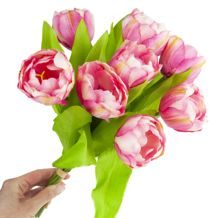 CV31227-4 TULIPAN BUNCH x7 DARK PREMIERE GUMMERED VASON TUBES