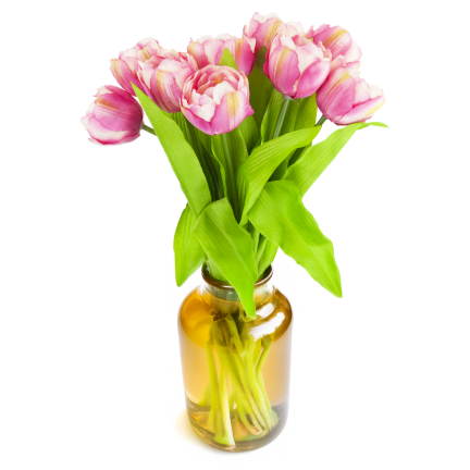 CV31227-4 TULIPAN BUNCH x7 DARK PREMIERE GUMMERED VASON TUBES