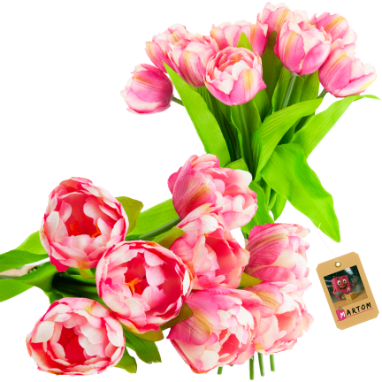CV31227-4 TULIPAN BUNCH x7 DARK PREMIERE GUMMERED VASON TUBES
