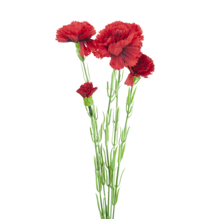 Nelkenzweig, Nelkensträußchen, Kunstblumen, naturgetreu, rot, 60 cm