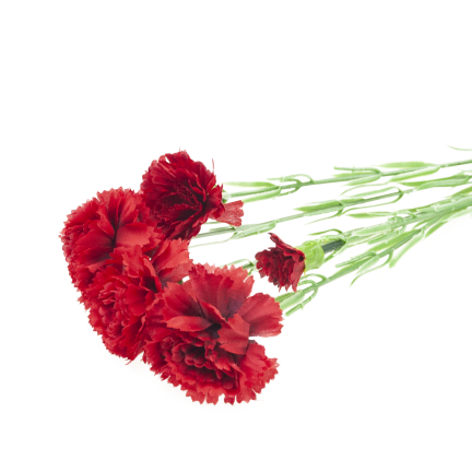 Nelkenzweig, Nelkensträußchen, Kunstblumen, naturgetreu, rot, 60 cm