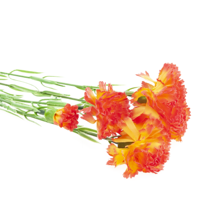 Nelkenzweig, Nelkensträußchen, Kunstblumen, naturgetreu, orange, 60 cm