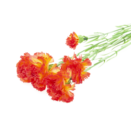 Nelkenzweig, Nelkensträußchen, Kunstblumen, naturgetreu, orange, 60 cm