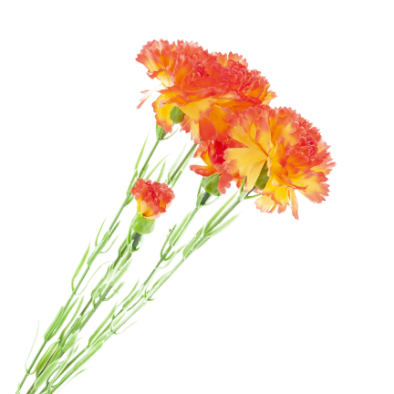 Nelkenzweig, Nelkensträußchen, Kunstblumen, naturgetreu, orange, 60 cm