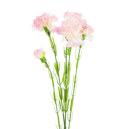 Nelkenzweig, Nelkensträußchen, Kunstblumen, naturgetreu, rosa, 60 cm