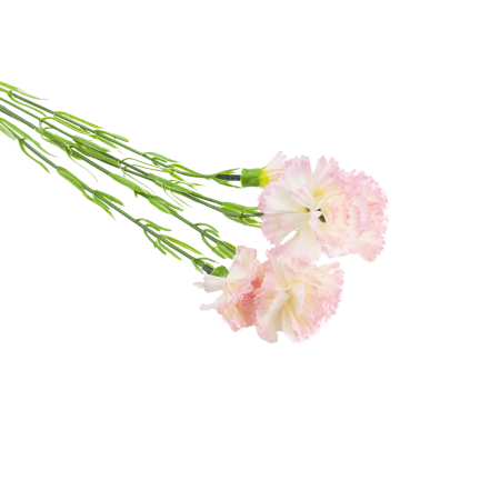 Nelkenzweig, Nelkensträußchen, Kunstblumen, naturgetreu, rosa, 60 cm