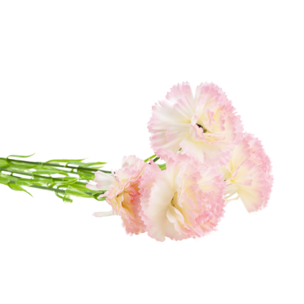 Nelkenzweig, Nelkensträußchen, Kunstblumen, naturgetreu, rosa, 60 cm