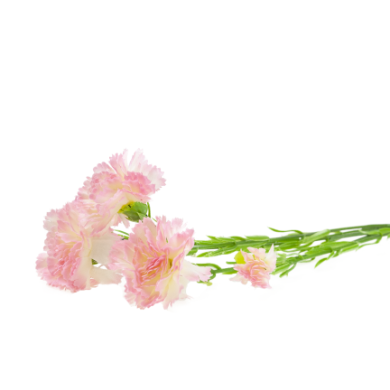 Nelkenzweig, Nelkensträußchen, Kunstblumen, naturgetreu, rosa, 60 cm