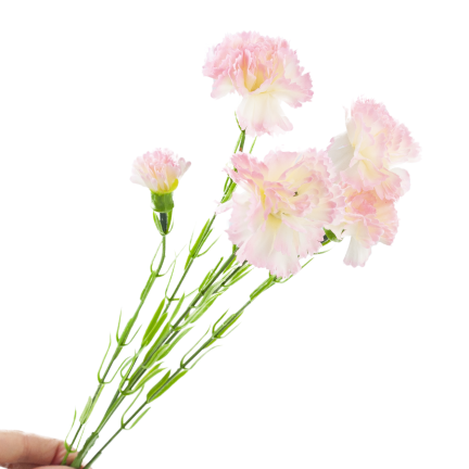Nelkenzweig, Nelkensträußchen, Kunstblumen, naturgetreu, rosa, 60 cm