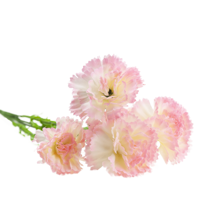 Nelkenzweig, Nelkensträußchen, Kunstblumen, naturgetreu, rosa, 60 cm