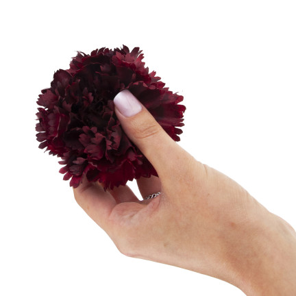 CV31484-20 Nelke Blume Kopf künstliche Blumen wie Live für Kopfbedeckungen Maroon