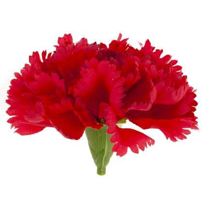 CV31484-6 Nelke Blume Kopf künstliche Blumen wie Live für Kopfbedeckungen rot