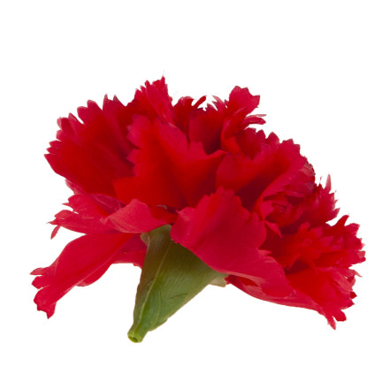 CV31484-6 Nelke Blume Kopf künstliche Blumen wie Live für Kopfbedeckungen rot