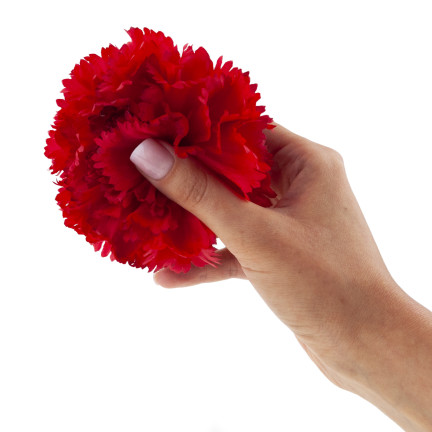 CV31484-6 Nelke Blume Kopf künstliche Blumen wie Live für Kopfbedeckungen rot