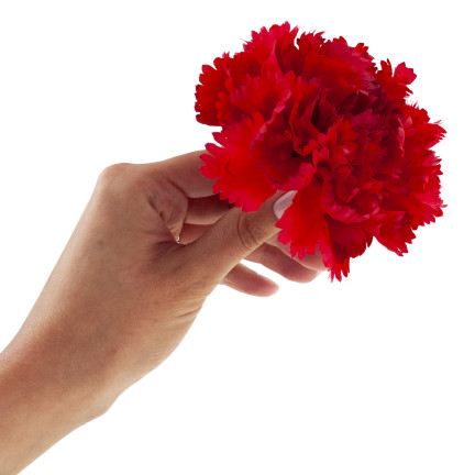 CV31484-6 Nelke Blume Kopf künstliche Blumen wie Live für Kopfbedeckungen rot