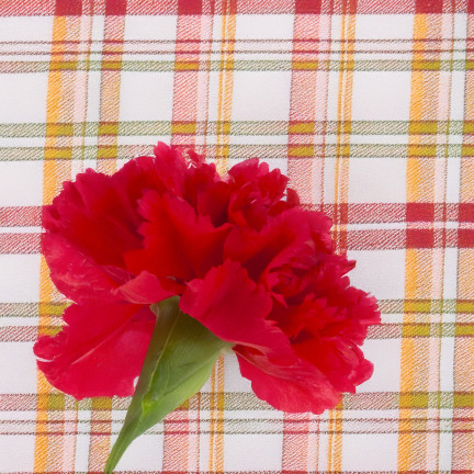 CV31484-6 Nelke Blume Kopf künstliche Blumen wie Live für Kopfbedeckungen rot
