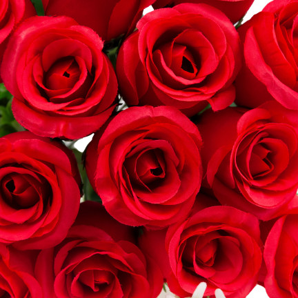 CV31493-4 STRAUSS VON 18 ROSEN ALS LIVE SCHÖNE ROSEN IM STRAUSS DEKORATIVE DICHT