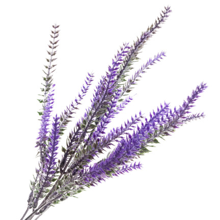 CV31717 Lavendel – Strauß aus künstlichem Lavendel, Zweige, 5 Stück, künstliche Blumen, naturgetreu