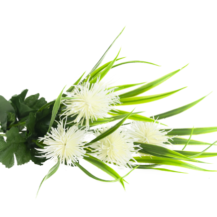 CV31741-1 ZIERZWEIG GRAS BLÄTTER DISTEL BLÜTEN WEISS