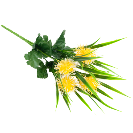 CV31741-2 ZIERZWEIG GRÄSER BLÄTTER DISTEL BLUMEN GELB