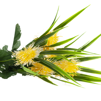 CV31741-2 ZIERZWEIG GRÄSER BLÄTTER DISTEL BLUMEN GELB