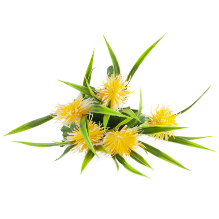 CV31741-2 ZIERZWEIG GRÄSER BLÄTTER DISTEL BLUMEN GELB