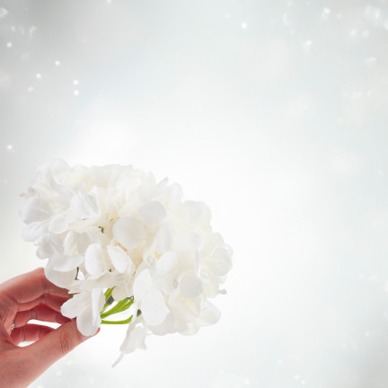 CV31853 HORTENSIE PRODUKT HORTENSIE BLUME KOPF KÜNSTLICHE BLUMEN WIE DAS LEBEN