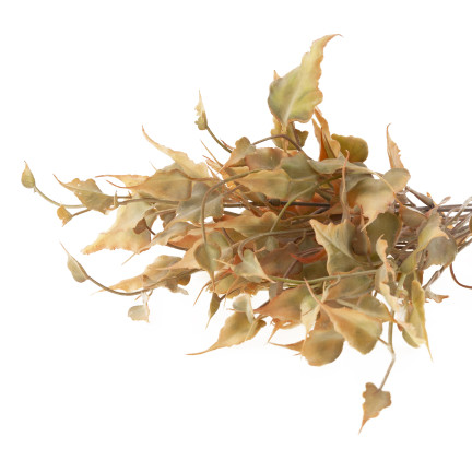 CV32202-1 KÜNSTLICHE BLÄTTER IN EINEM BLUMENSTRAUSS BLÄTTER FÜR HERBST HERBST DEKORATIVE