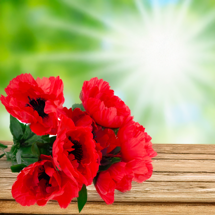 Mohnblumen-Dekorationsstrauß, Kunstblumen, Frühlingsdekoration, rot, 7 Blüten