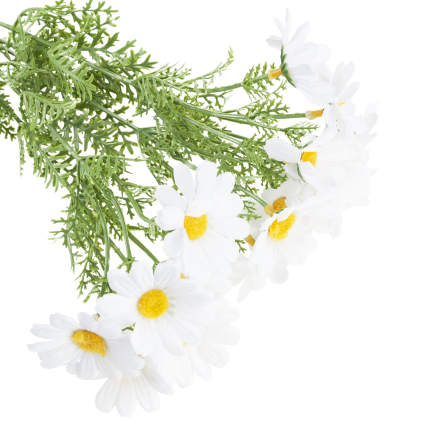 Künstliche Gänseblümchen, Gänseblümchen, Chrysanthemen, Kamille, Blumenstrauß